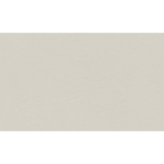 GRESIE INDUSTRIO LIGHT GREY 59.8X119.8