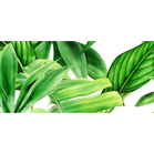 CAL I (Ceramika Color)