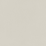 GRESIE INDUSTRIO LIGHT GREY 119.8X119.8