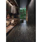 Wild Roberto Cavalli