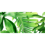 DECOR GARDEN (SPECTRE) TROPIC B 25X75