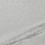 GRESIE SCOGLIO GRIGIO MAT 59.8X59.8