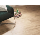 1.2MP/CUT (Stargres)