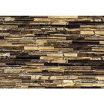 GRESIE THE WILD SPIRIT TIGER GOLD (Roberto Cavalli)